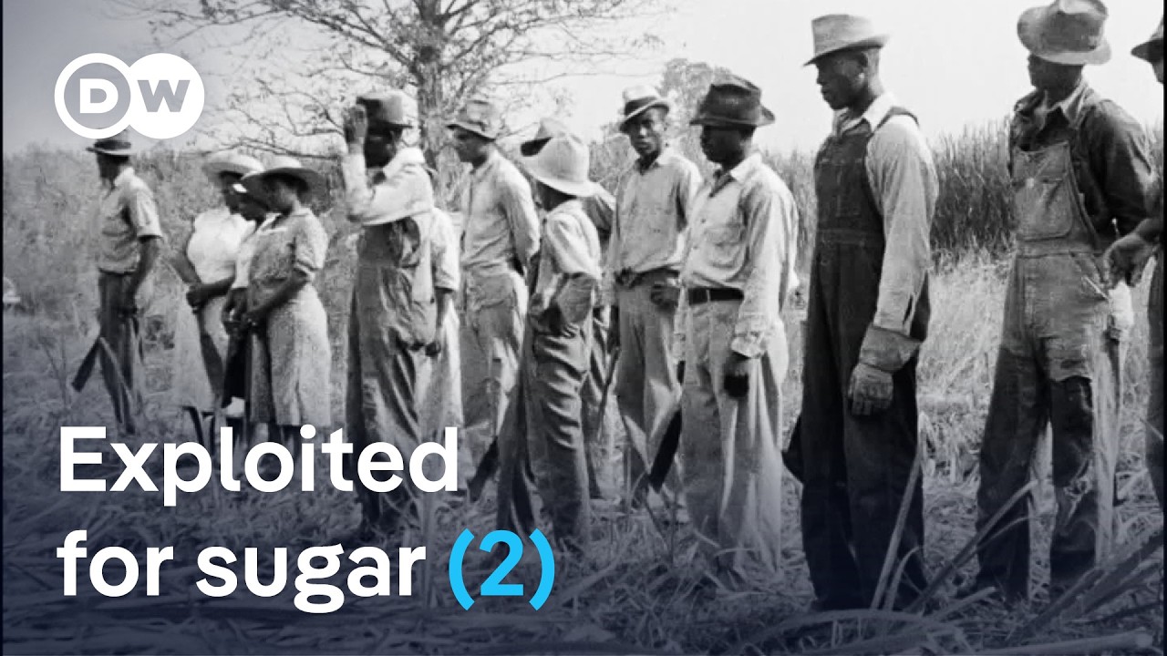 Blood, sweat, and human trafficking: How sugar created slavery (2/2) | DW Documentary