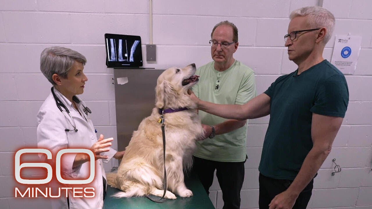 Comparative Oncology | 60 Minutes Archive