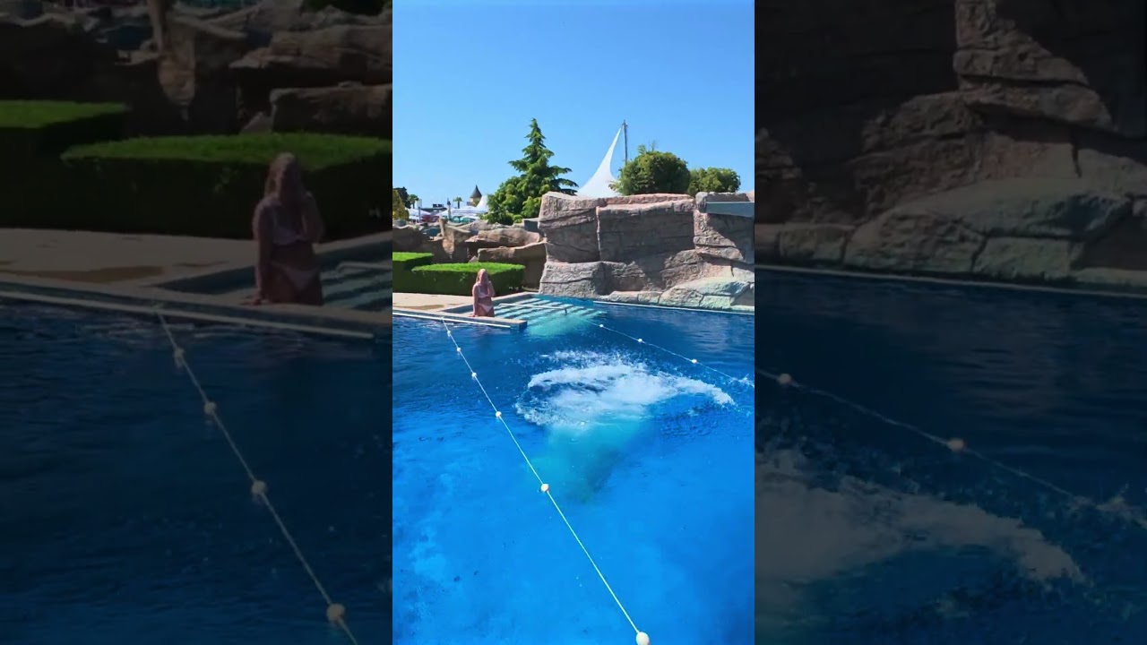 Diving Board at Aquapark Nessebar 🇧🇬