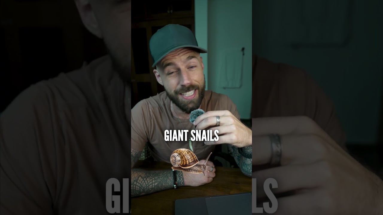 Don’t hate me, but I’m tired of travel content like this 🙄