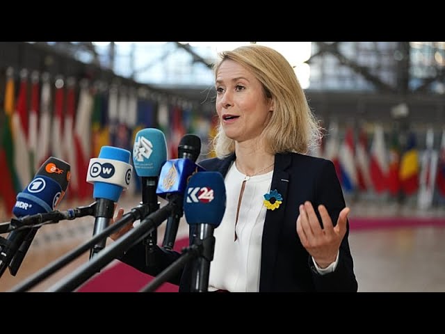 EU foreign ministers wow to protect citizens but refuse to back regime change in Iran