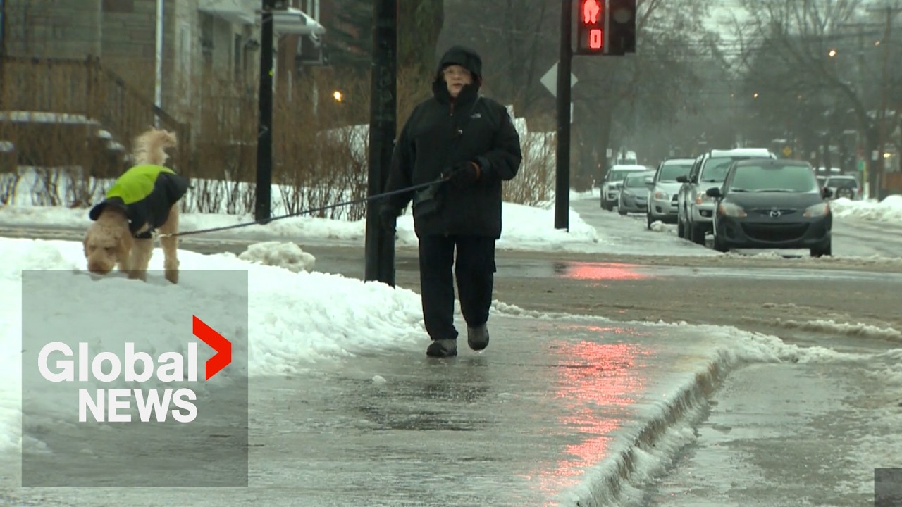 Freezing rain warning: Montreal prepares for up to 30 mm rainfall, power outages