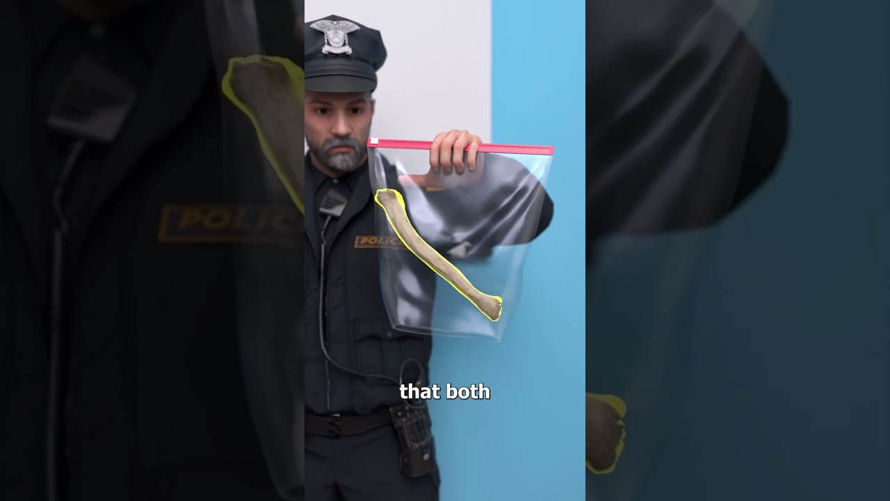 How A Dog Helped Uncover A Missing Man’s Remains 😮