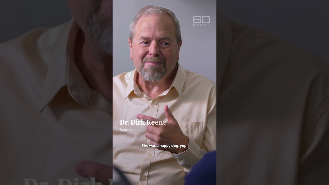 How dementia appears in dogs #shorts