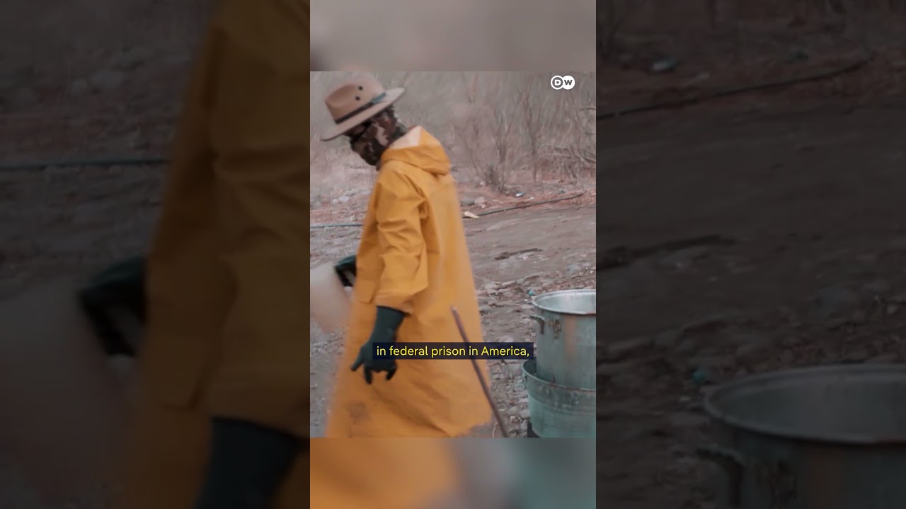 How the Mexican cartels took over the US opioid crisis | DW Documentary