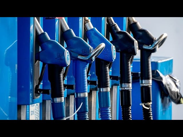 IEA urges swift cuts in oil demand, encourages remote work, less air travel