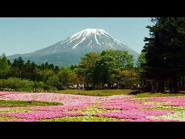 Japan tourism is booming as travellers look beyond Tokyo and Kyoto