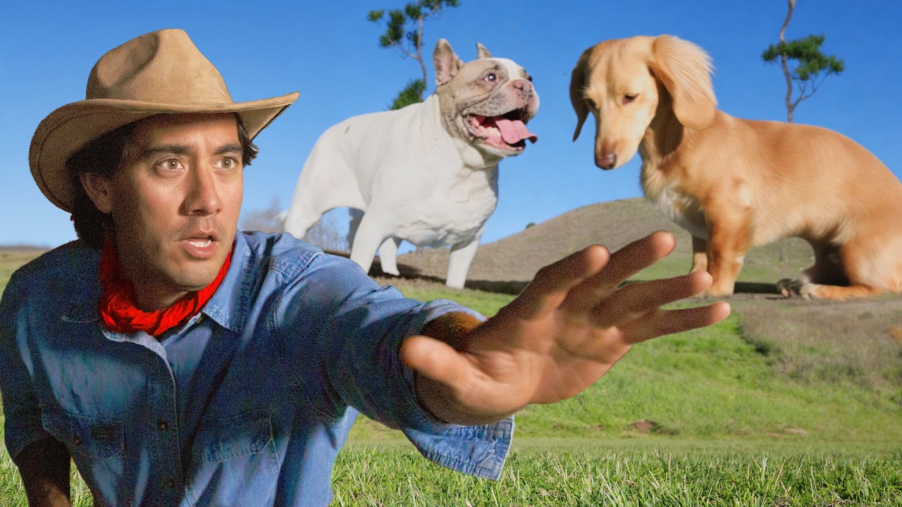 Jurassic Park But with Dogs