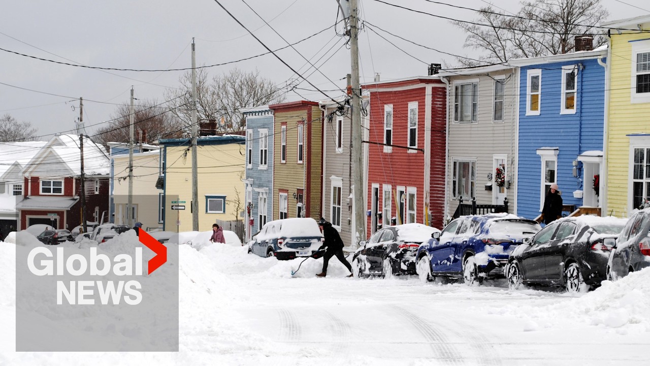 No signs of spring in Newfoundland as another snowstorm wreaks havoc on province