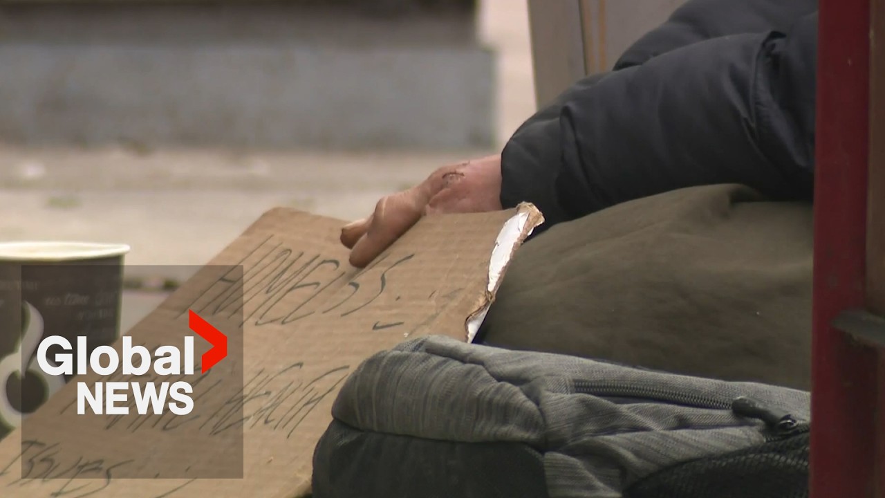 Tactics questioned after Halifax RCMP pose as panhandler to catch distracted drivers