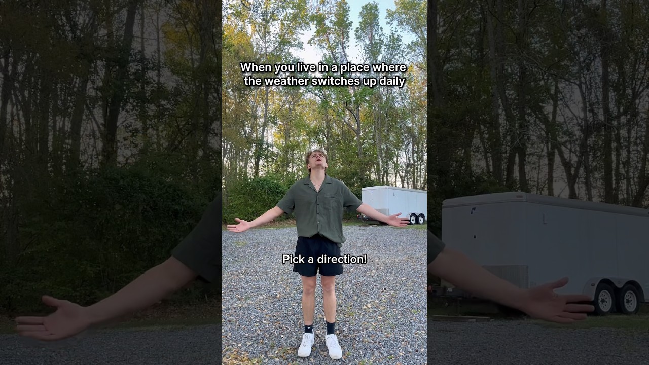 The Geese Just as Confused as Me 💀