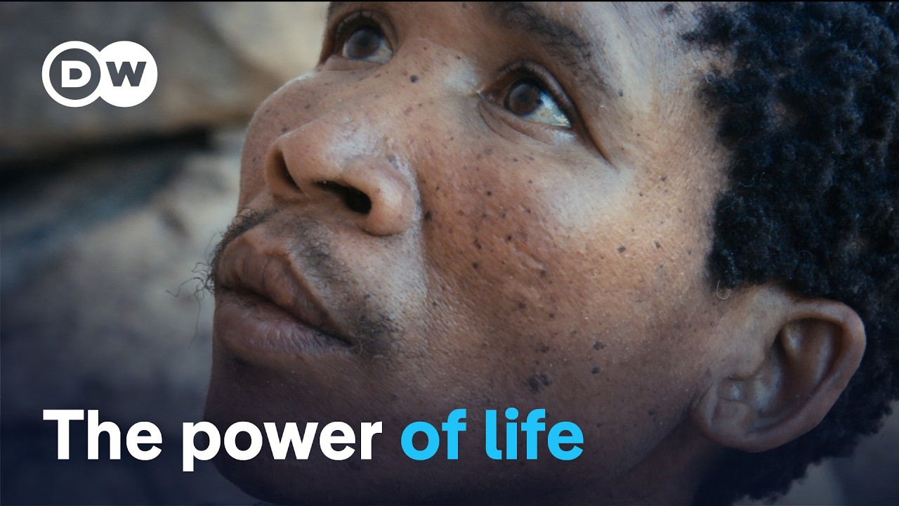 The story of our planet, retold | DW Documentary