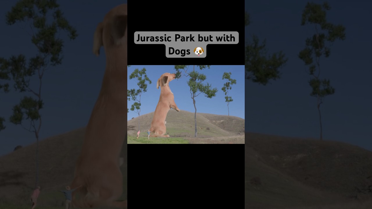 They Remade Jurassic Park but with Dogs