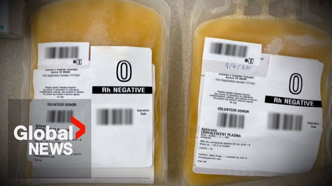 Two dead after plasma donation at Winnipeg private collection centres