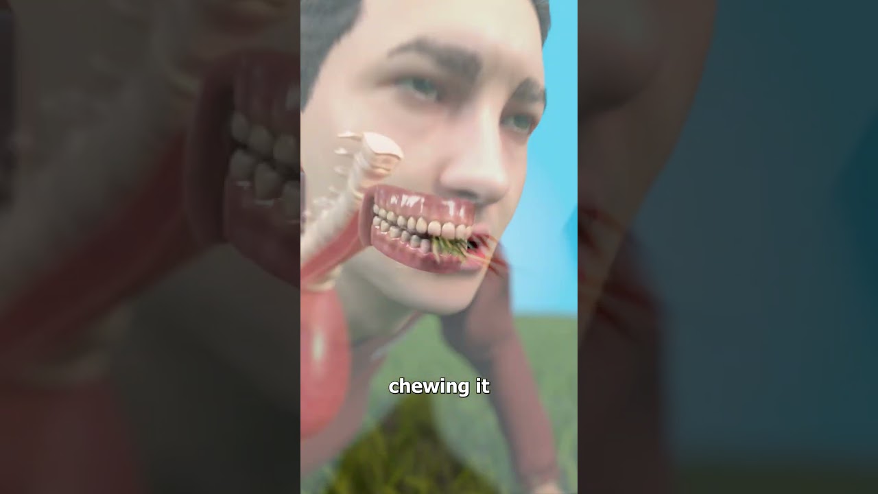 What If Humans Had Cow Stomachs 😳