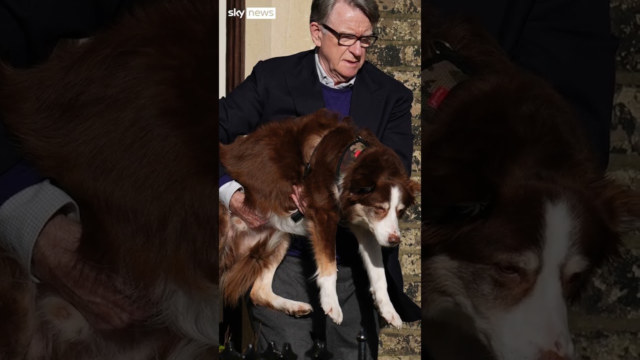 What is really in the Mandelson files? And what hasn’t been released?