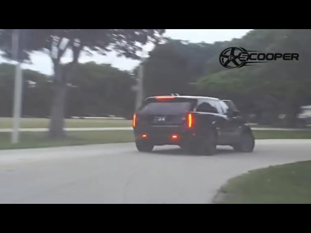 Wild Florida Police Chase
