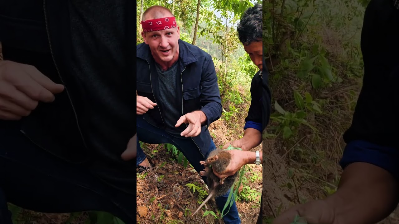 World’s Biggest Rat!!