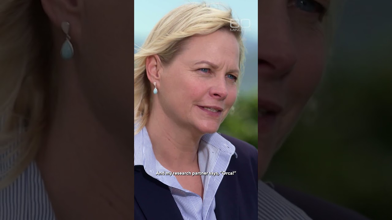 A string of clues leads to an unlikely suspect in deaths of great white sharks #shorts