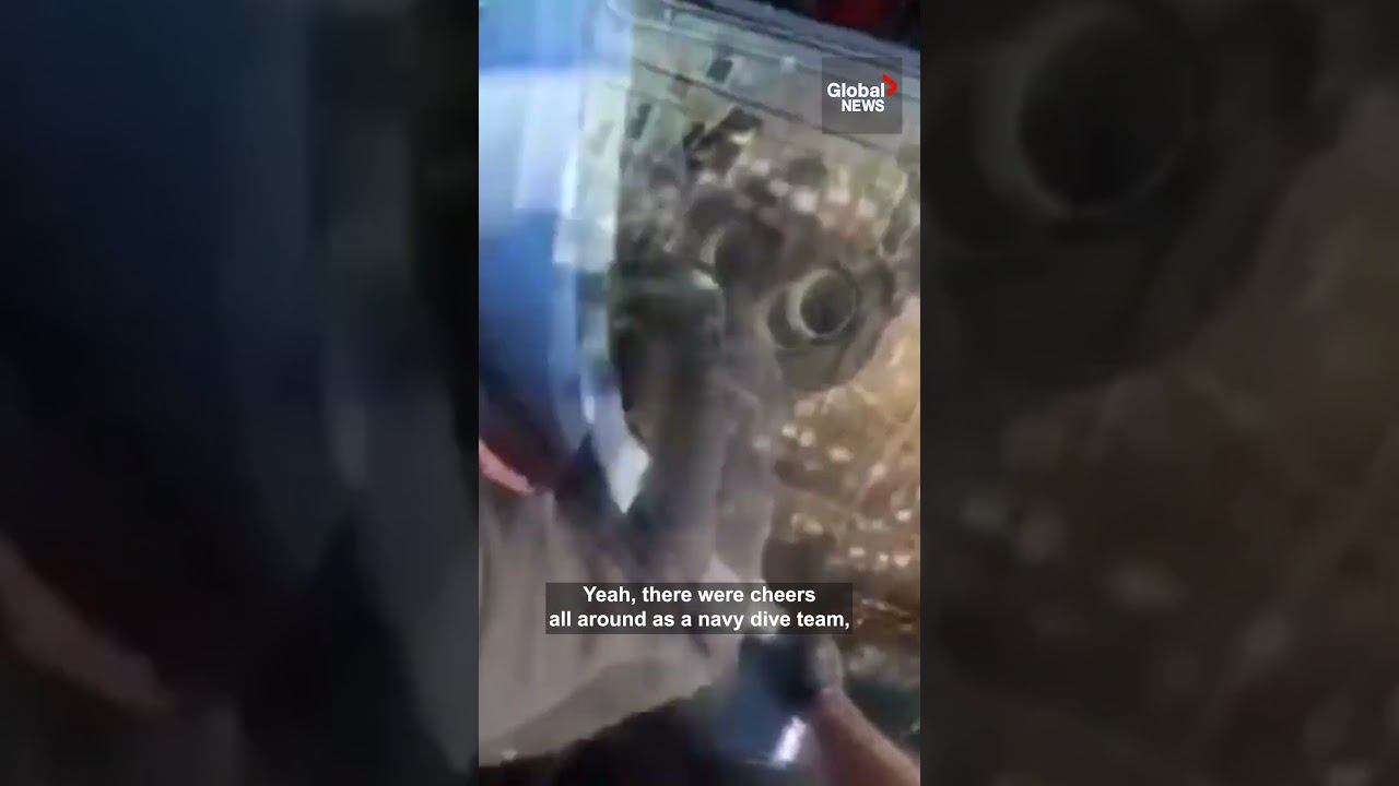 Artemis II returns: NASA video shows recovery crew opening Orion hatch