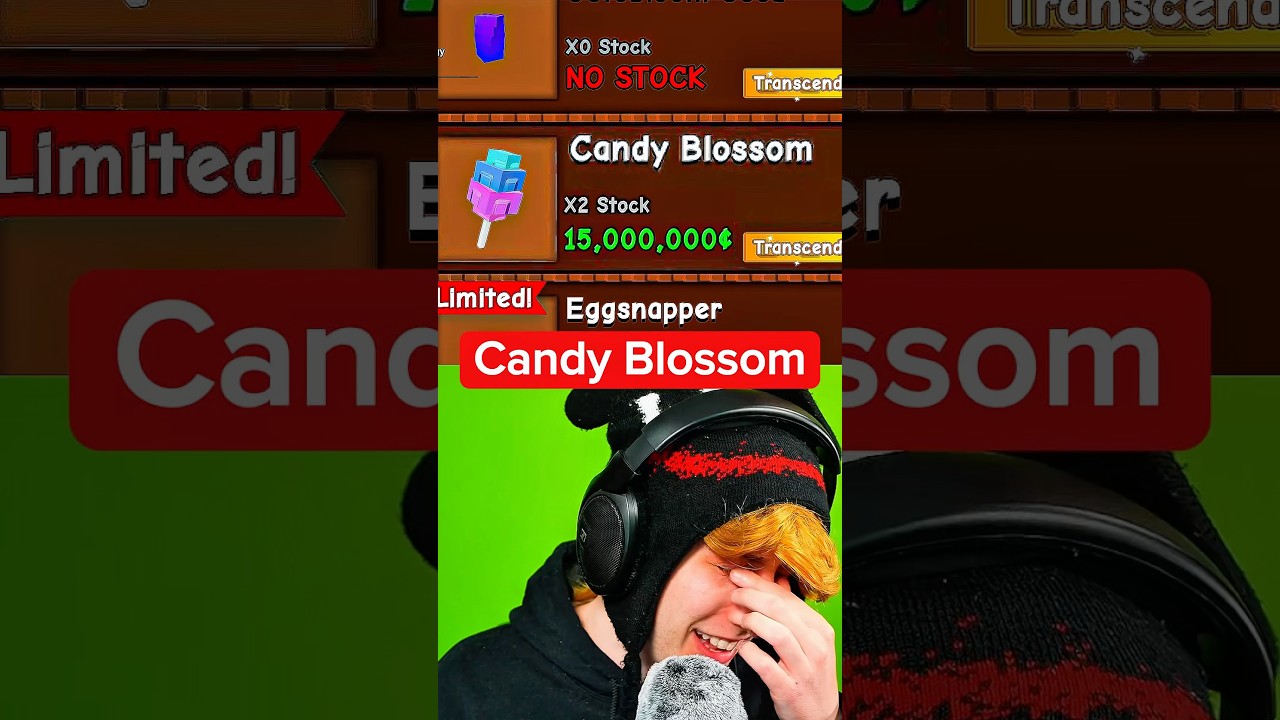 CANDY BLOSSOM IS BACK 🙏😭