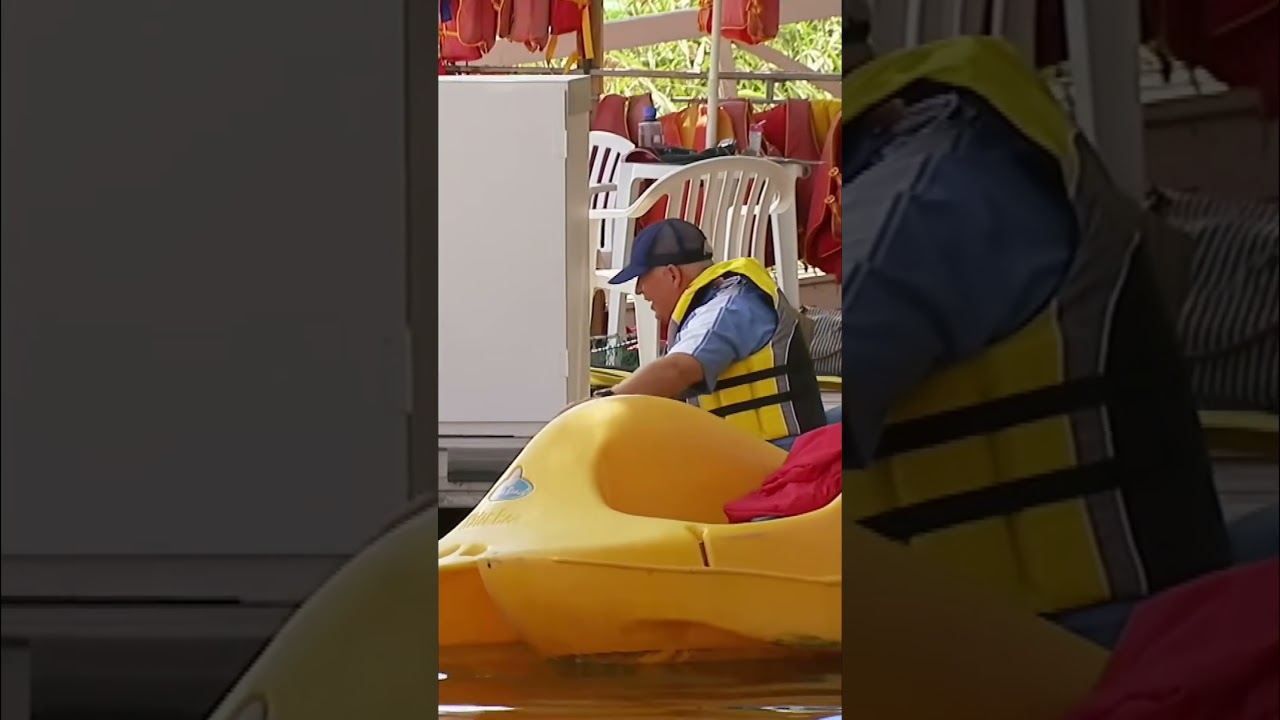 DOG RESCUE 🐶 | Just For Laughs Gags