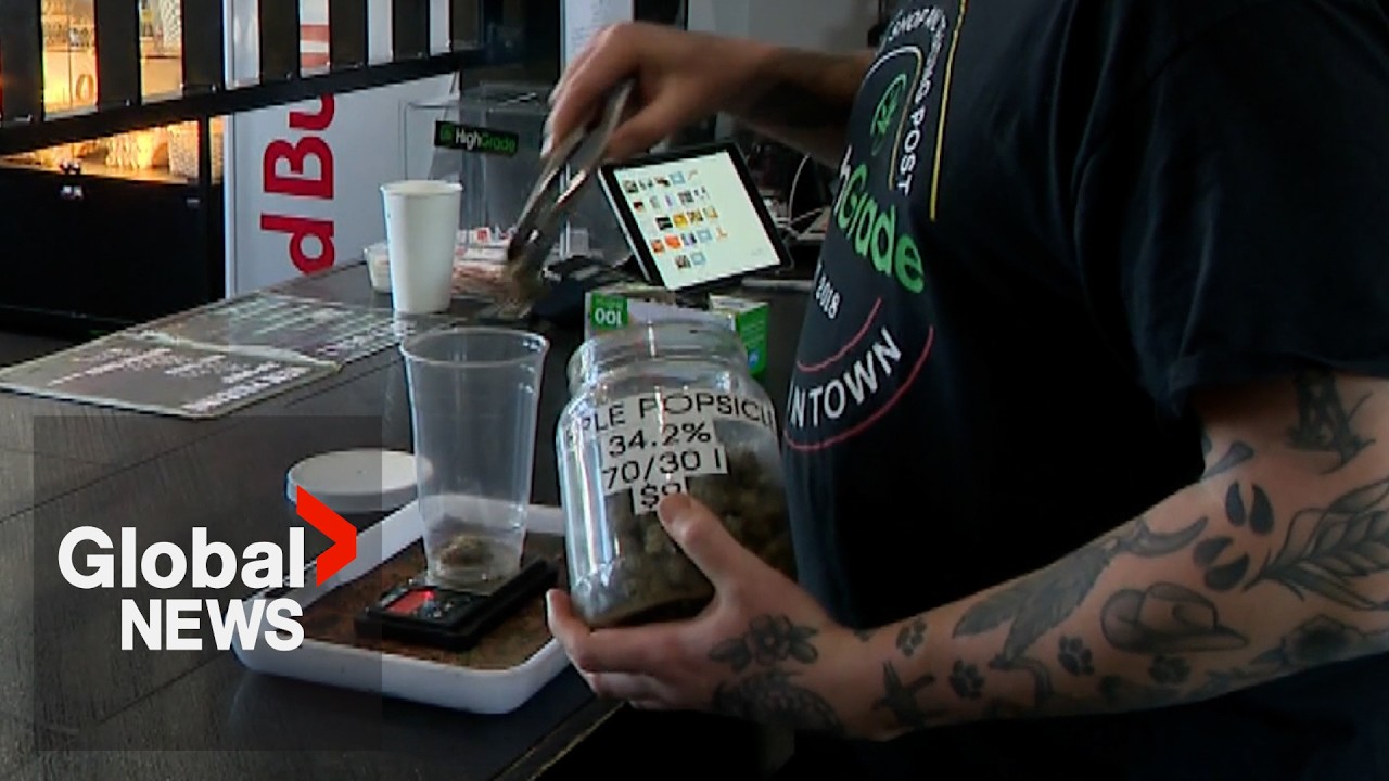 First Nation blocks main highway to Halifax over cannabis crackdown