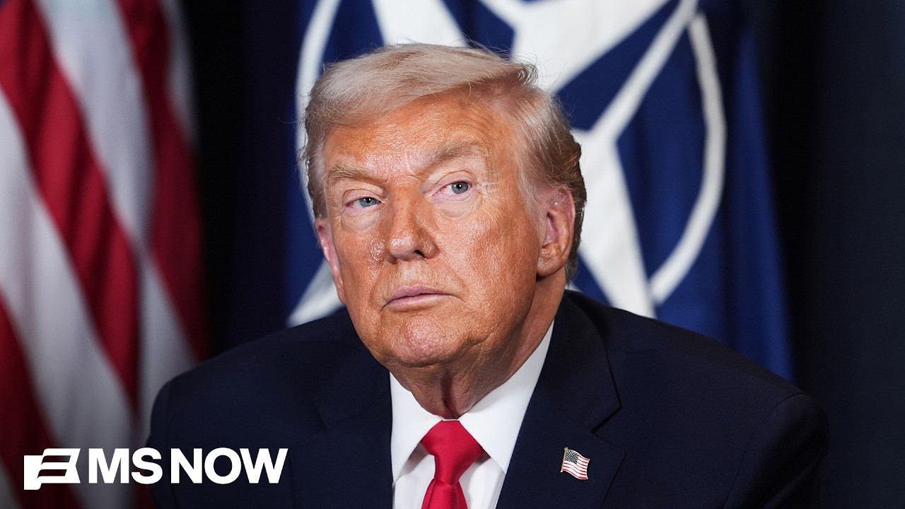 Fmr. U.S. Amb. to Russia: NATO allies appear ‘fed up’ and ‘exhausted’ with Trump