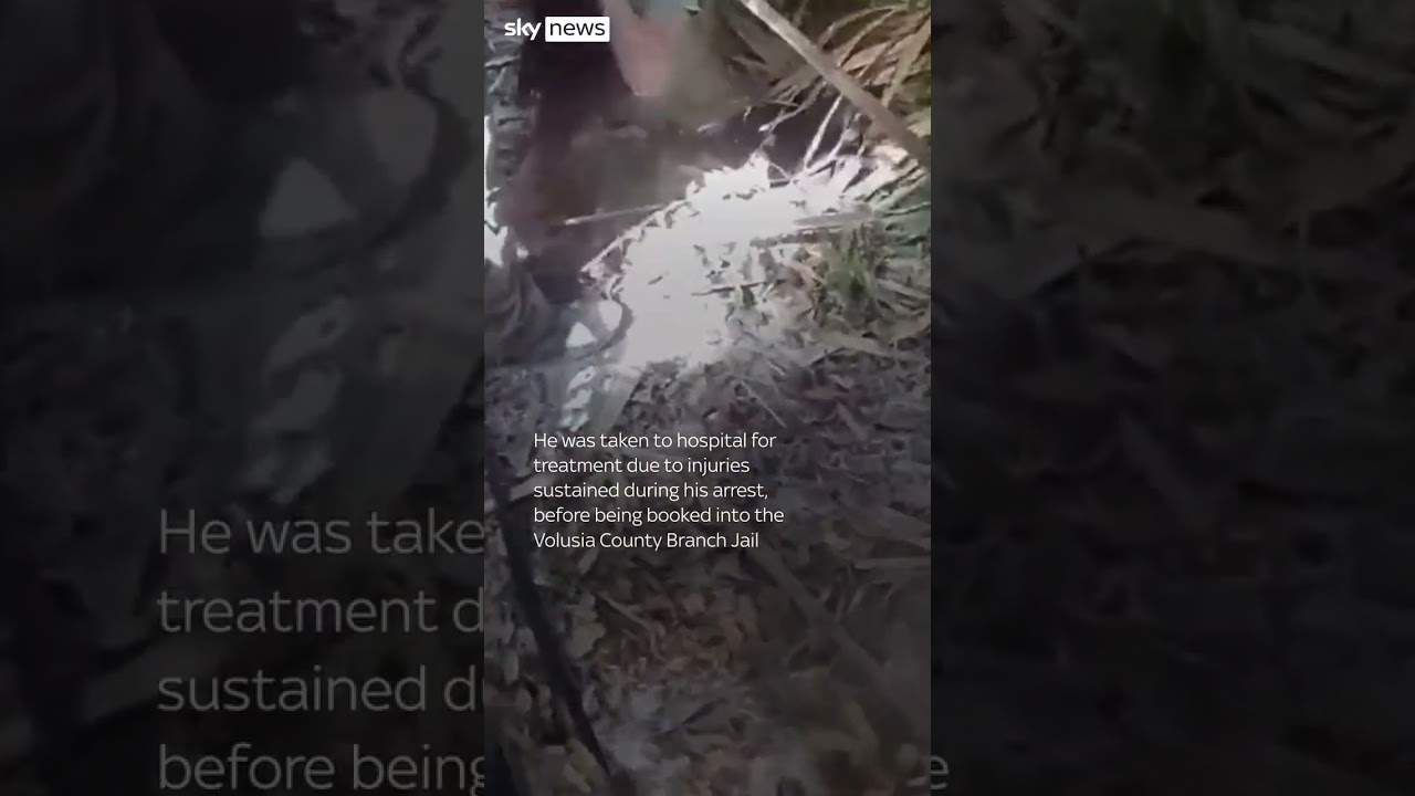 Fugitive arrested after dramatic woodlands chase