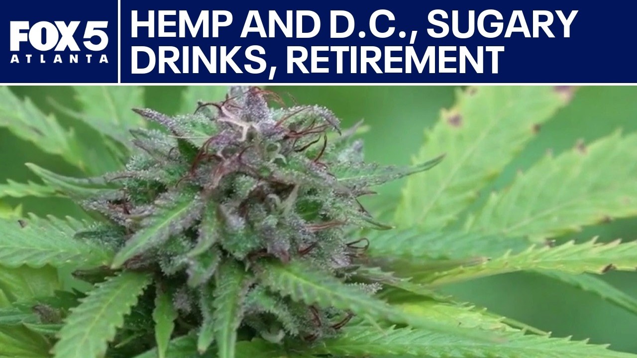 Hemp, sugary drinks and retirement pitfalls | FOX 5 News