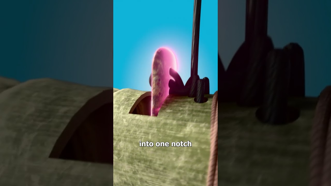 How Does A Bamboo Rat Trap Work 🤔