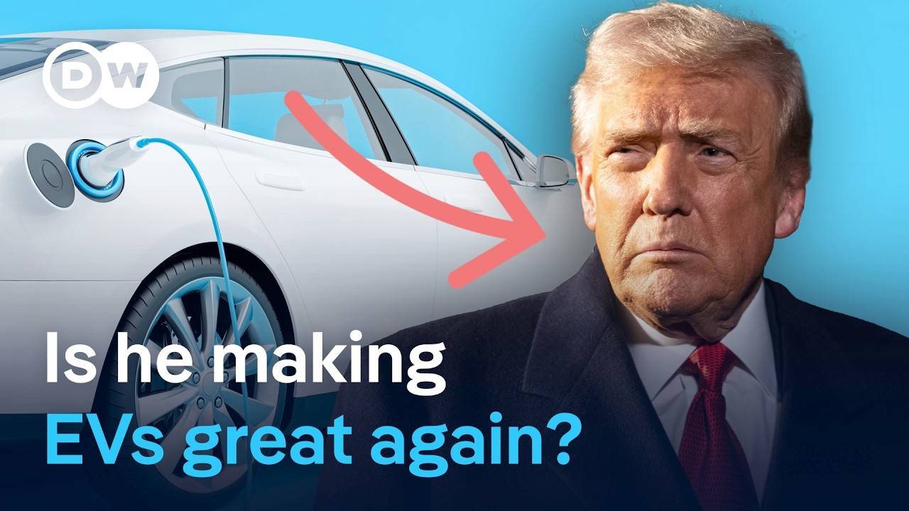 How new demand for EVs could redefine global competition | DW News
