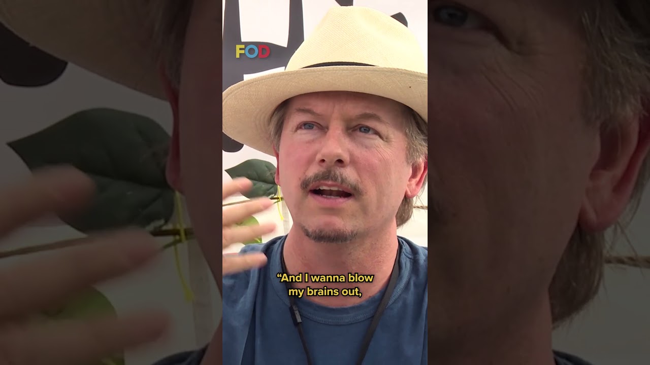 How to safely get home after leaving Coachella