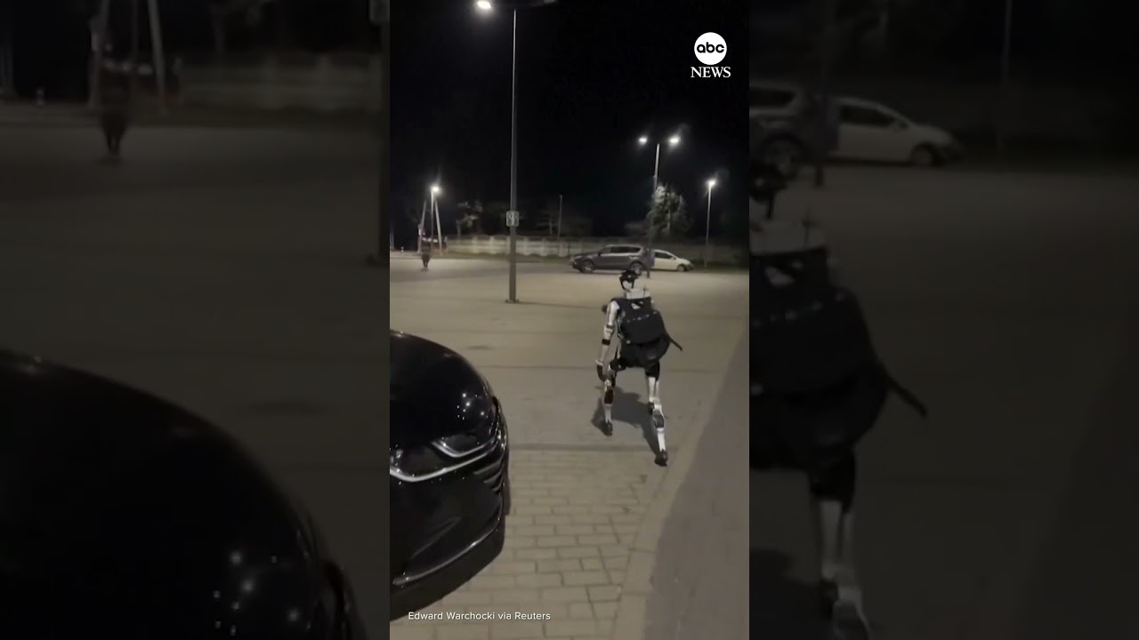 Humanoid robot chasing wild boars in Poland goes viral