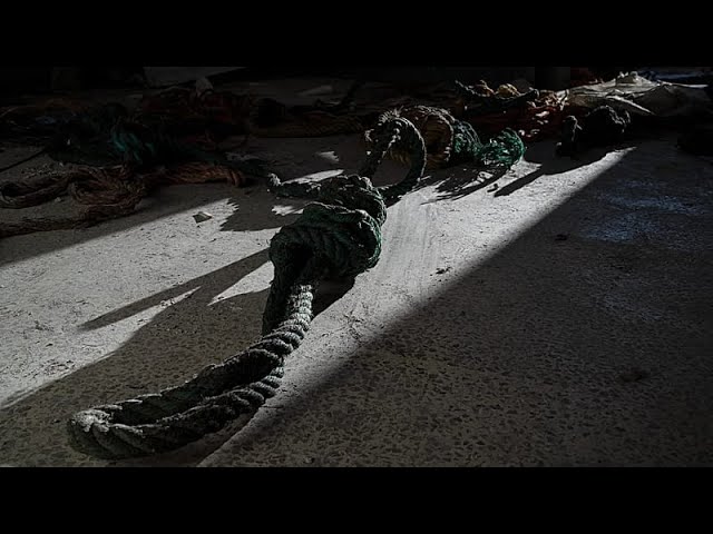 Iran executed at least 1,639 people in 2025 in 68% increase on year before, NGOs say