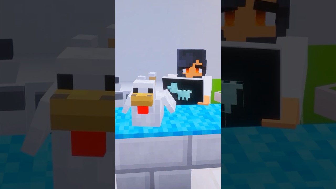 It’s a Chicken: Vet Life part 1