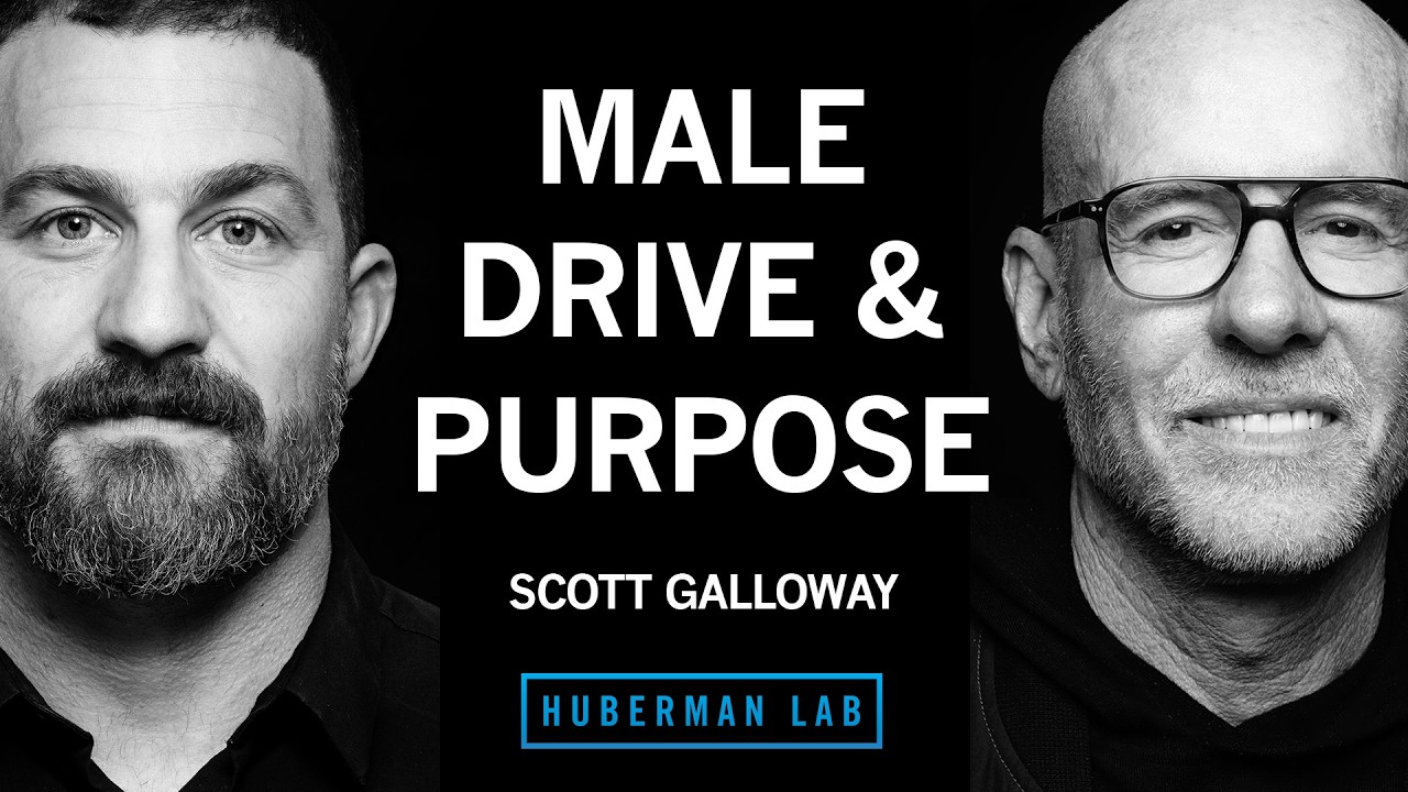 Male Roles, Obligations and Options for Building a Fulfilling Life | Scott Galloway
