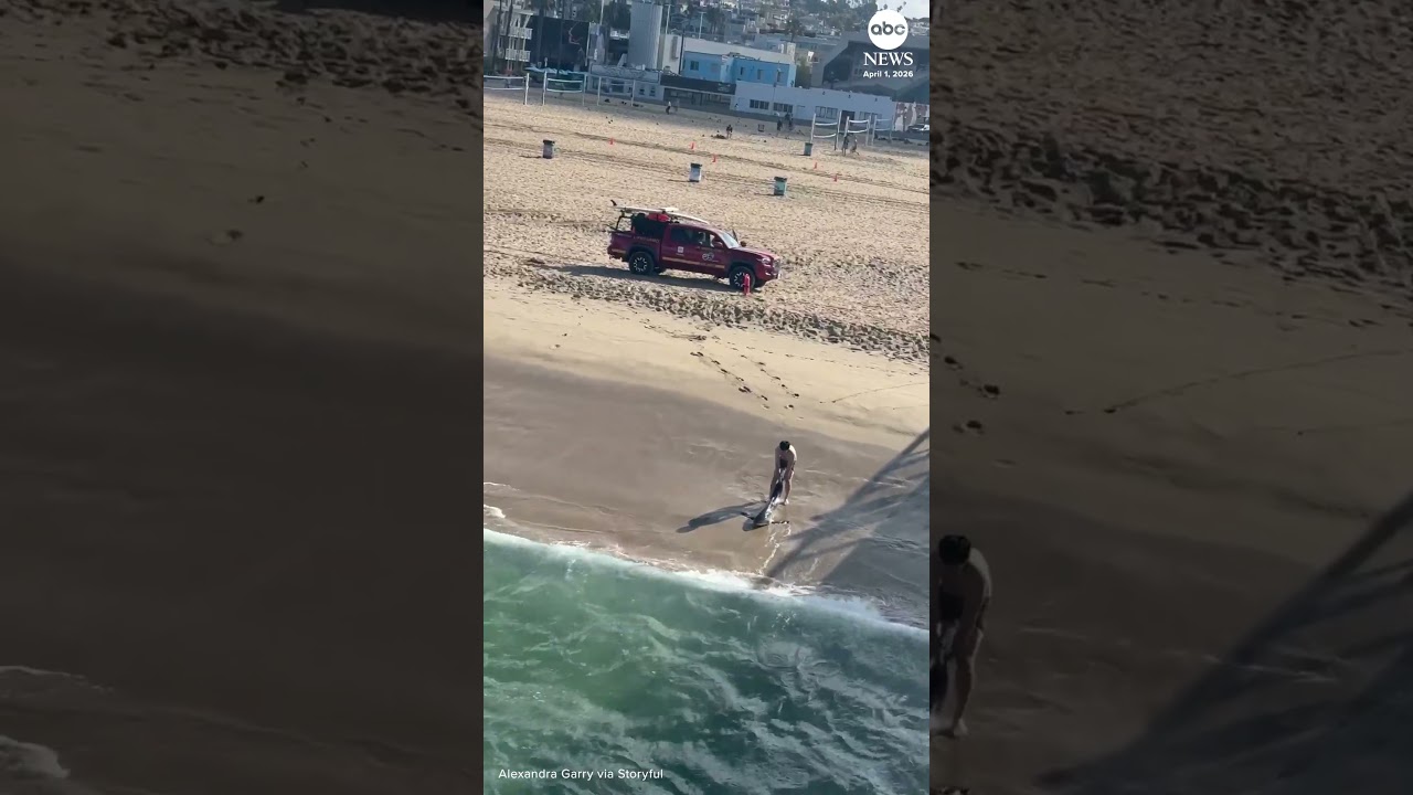 Man risks life and limb to rescue shark caught on fishing line