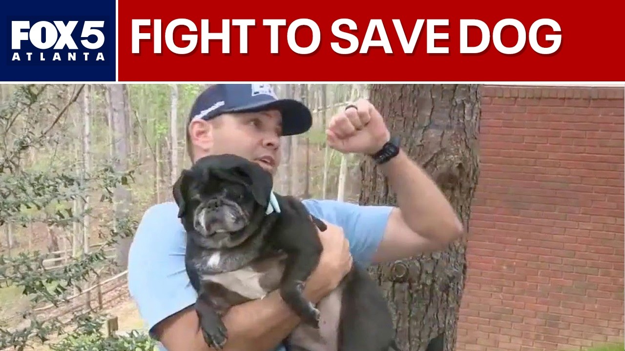 Man vs. Raccoon: The wild fight to save his dog | FOX 5 News