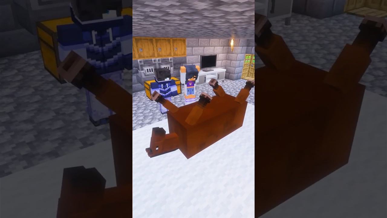 Not Zane’s Pony: Vet Life part 2