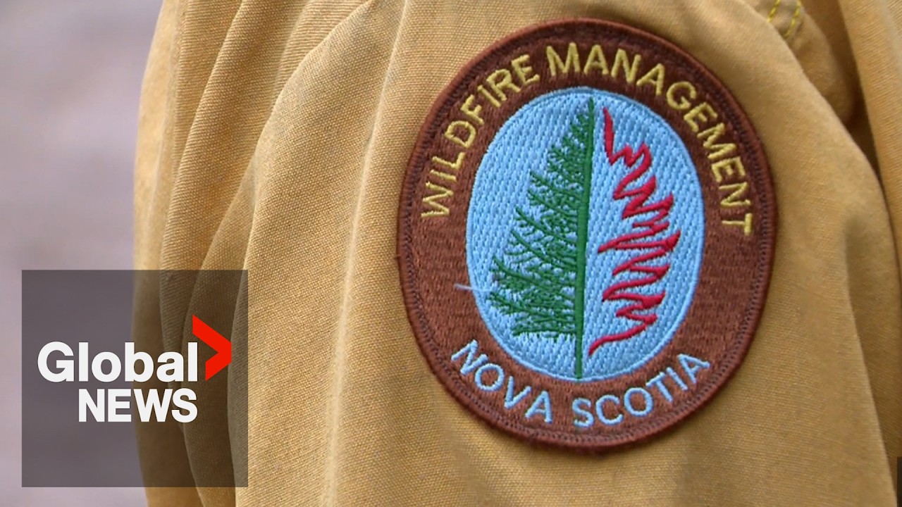 Nova Scotia provincewide ban on entering woods unreasonable, court rules