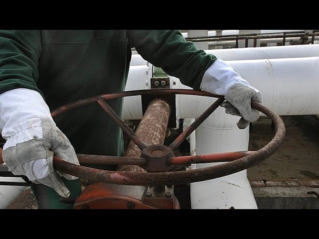 Oil flows from Russia via Druzhba pipeline to Hungary could resume next week, Magyar says