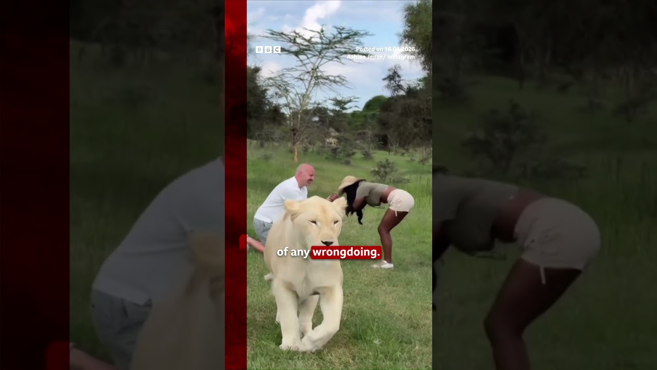 Partner of US influencer who died in Zanzibar speaking to police as witness. #US #Zanzibar #BBCNews