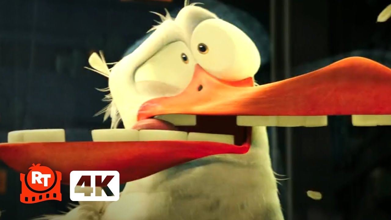 Storks (2014) 4K – HILARIOUS! Birds Can’t See Glass (7/10) | Movieclips