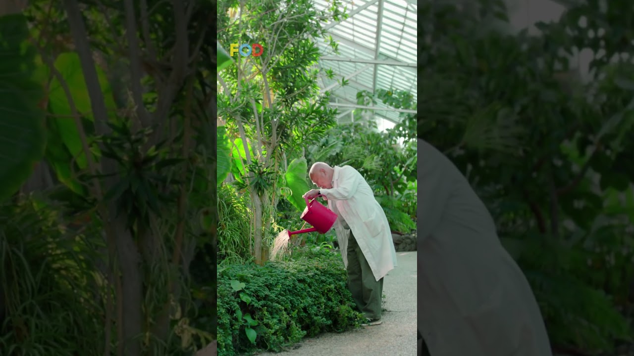 The Creative Visionary Behind Apple Airpods