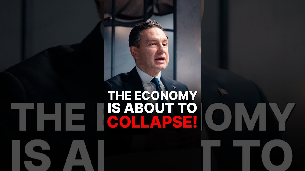 The Diary Of A CEO Episode #400