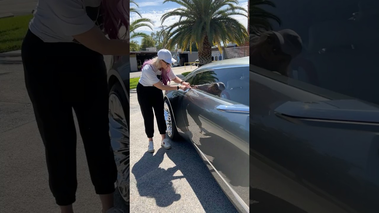 The New Buick Wildcat! 😍