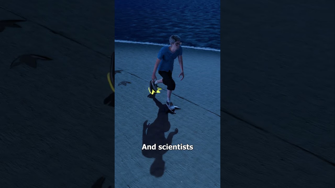 The Penguin Tracks That Fooled Scientists 🤨