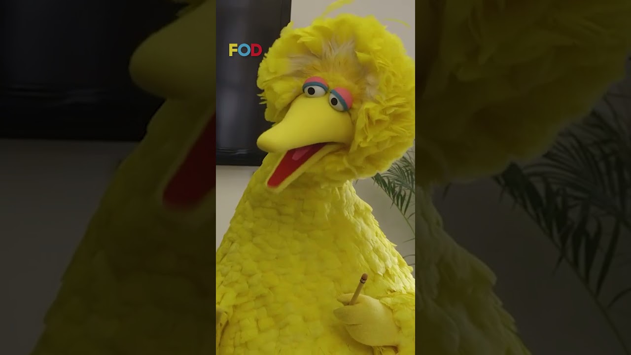The time Big Bird got a summer internship at Funny Or Die