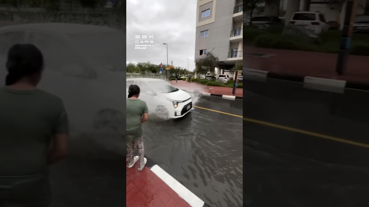 They Splashed Us! 😡